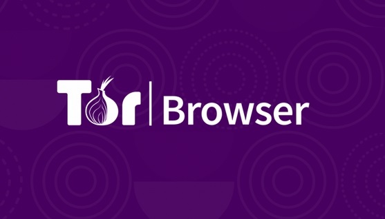 Tor browser or vpn hidra зайти вк через браузер тор hudra