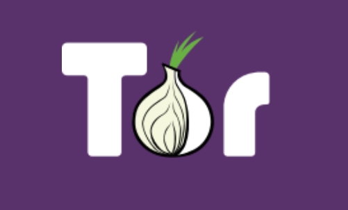 VPN vs 토르(Tor) 브라우저 차이와 장점 단점 위험성 | Net x Hack
