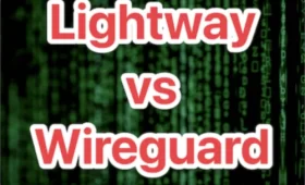 VPN 프로토골 비교 - 익스프레스VPN ExpressVPN 라이트웨이 와이어가드 Lightway wireguard