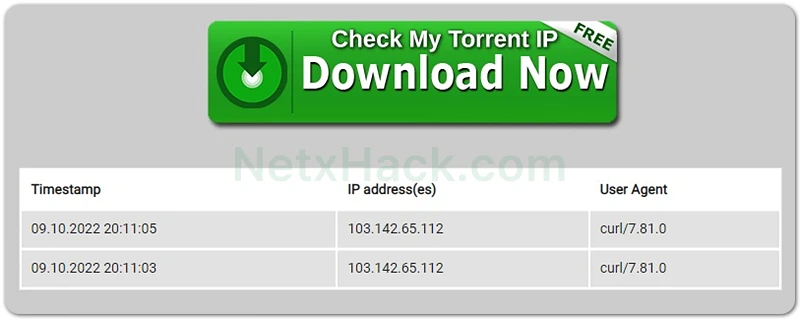 Check My Torrent IP