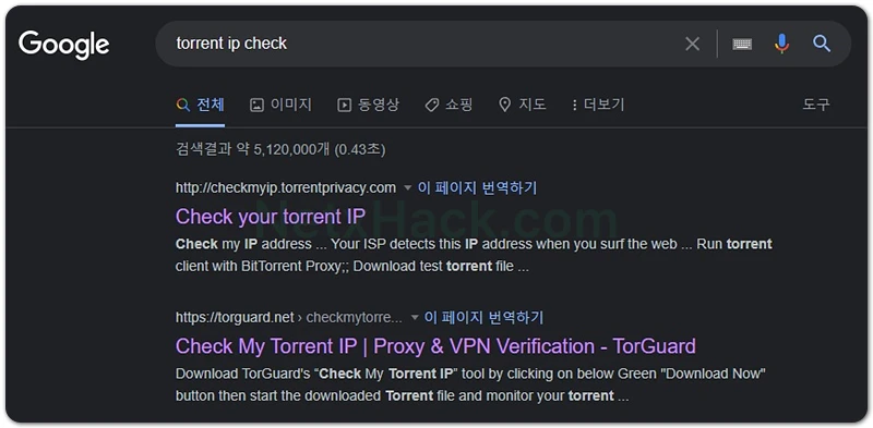 토렌트 IP 주소 확인 방법