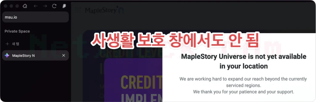 사생활 보호 창(시크릿 모드)에서 메이플스토리N 접속 시도