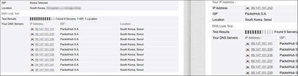 VPN 분할 터널링 DNS 유출 테스트