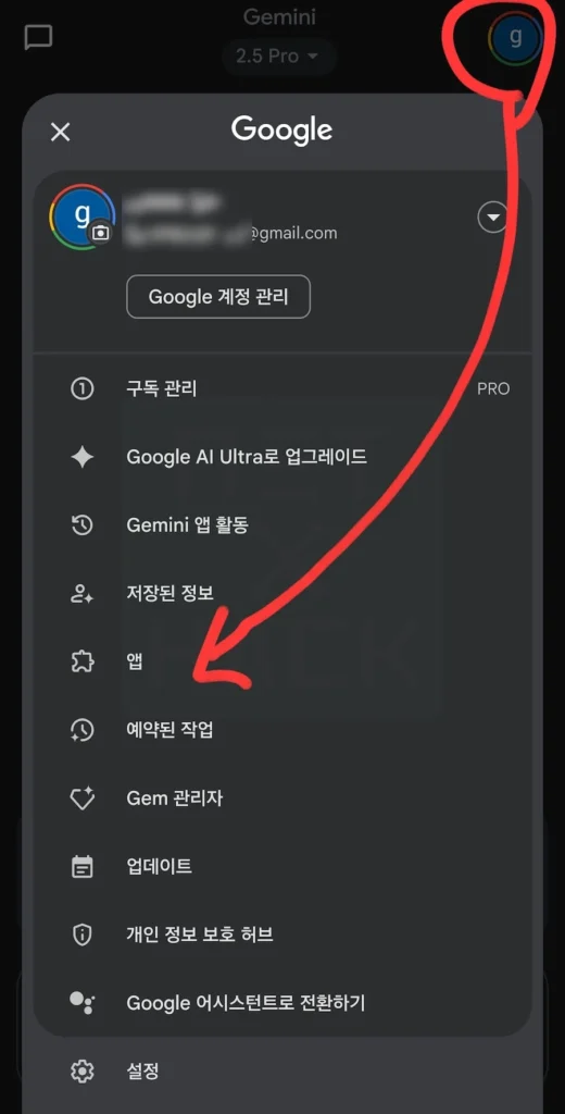 Gemini 앱 설정