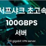 서프샤크(Surfshark) 100Gbps VPN 서버