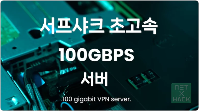서프샤크 100Gbps 서버