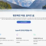 서프샤크 캠페인 프로모션 Calm 프리미엄 12개월 무료